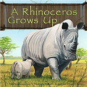 A Rhinoceros Grows Up