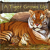 A Tiger Grows Up